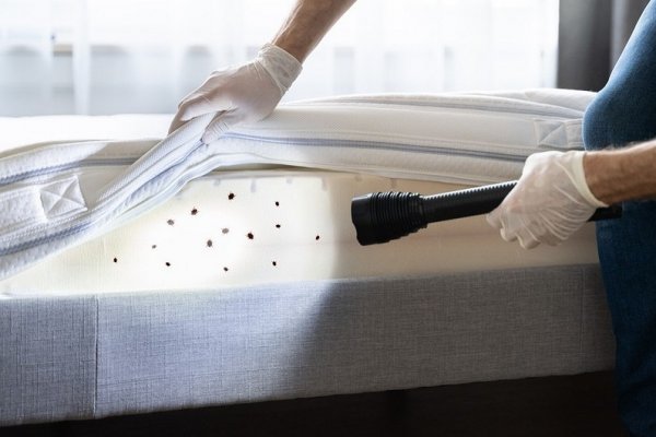 Kraken onion сайта